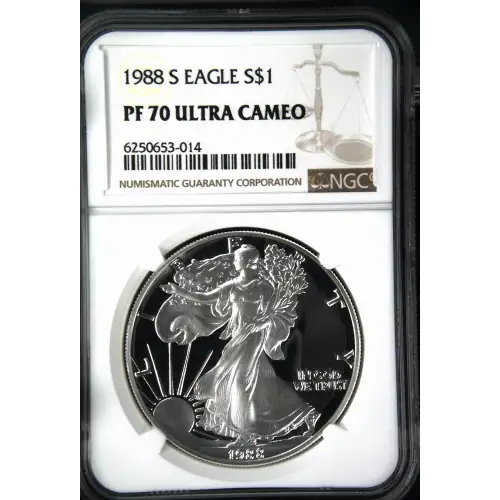 1988 S  ULTRA CAMEO (2)