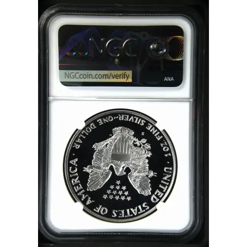 1988 S  ULTRA CAMEO (3)