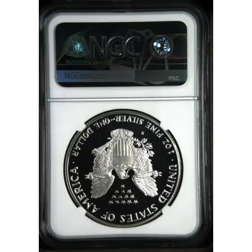 1989 S  ULTRA CAMEO (3)