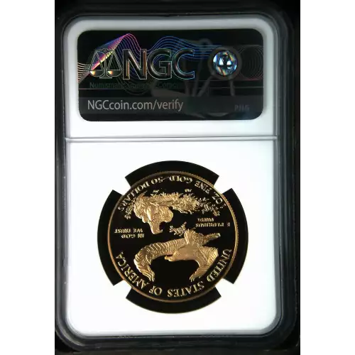 1990 W  ULTRA CAMEO (3)