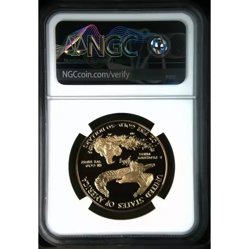 1991 W  ULTRA CAMEO (3)