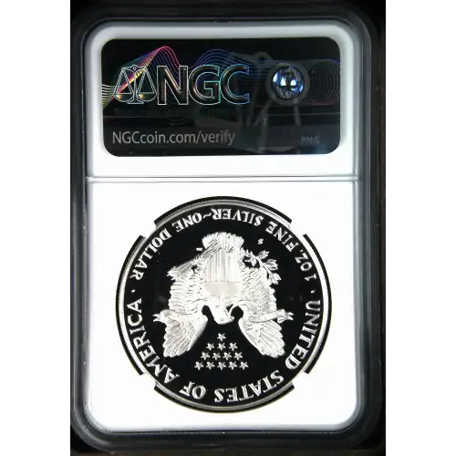 1992 S  ULTRA CAMEO (3)