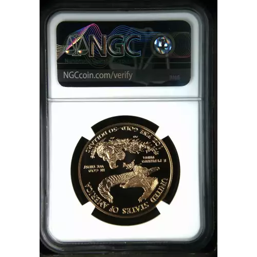 1999 W  ULTRA CAMEO (3)