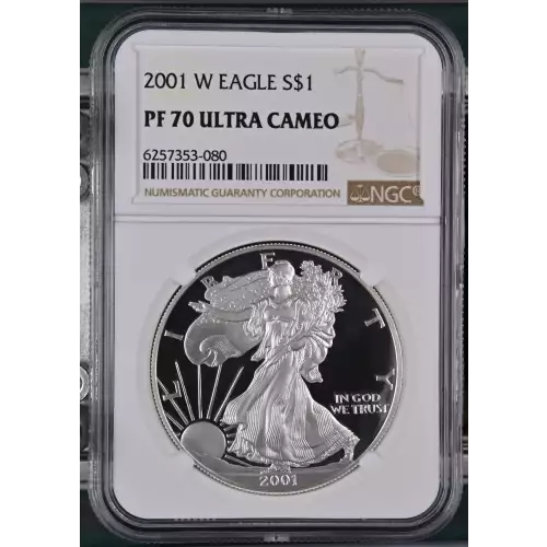 2001 W  ULTRA CAMEO (2)