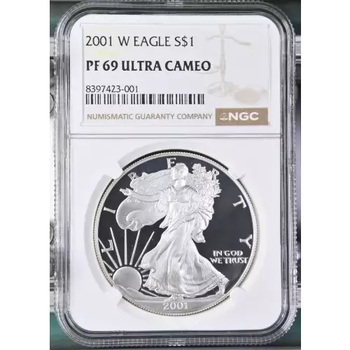 2001 W  ULTRA CAMEO (2)