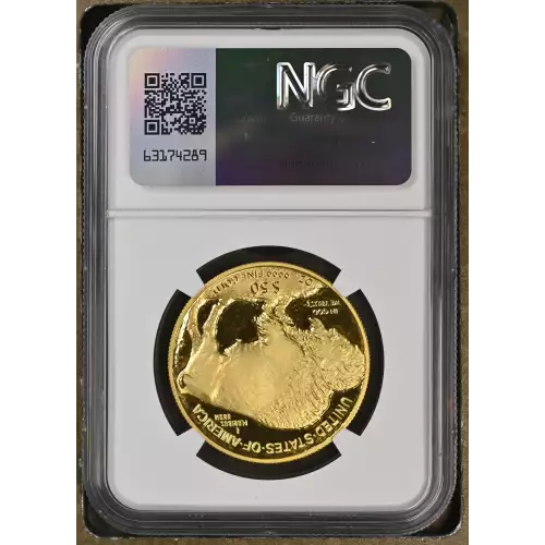 2007 W .9999 FINE ULTRA CAMEO (3)