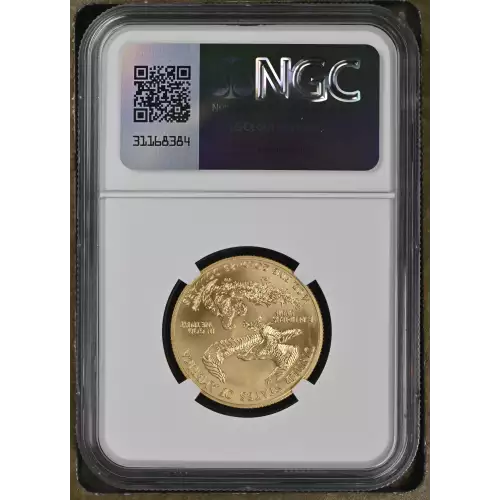 2007 W BURNISHED GOLD EAGLE (3)