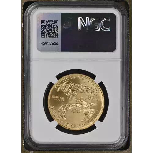 2007 W BURNISHED GOLD EAGLE (3)