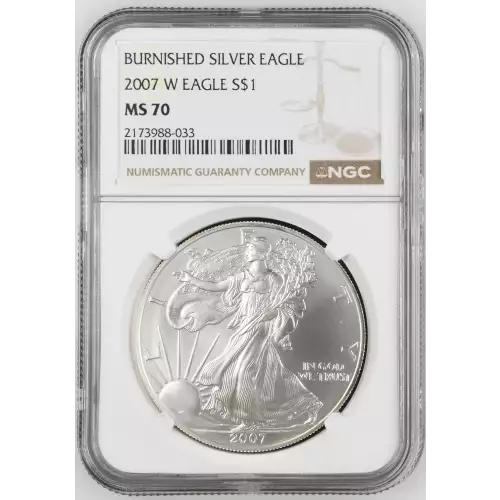 2007 W BURNISHED SILVER EAGLE (2)
