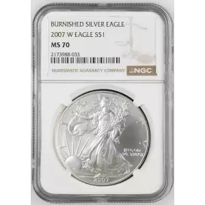 2007 W BURNISHED SILVER EAGLE (2)