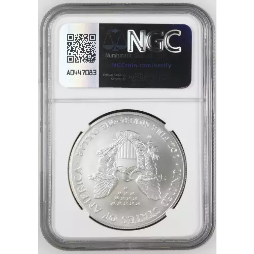 2007 W BURNISHED SILVER EAGLE (3)