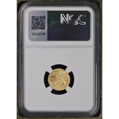 2008 W BURNISHED GOLD EAGLE (3)