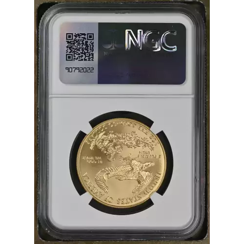 2008 W BURNISHED GOLD EAGLE (3)