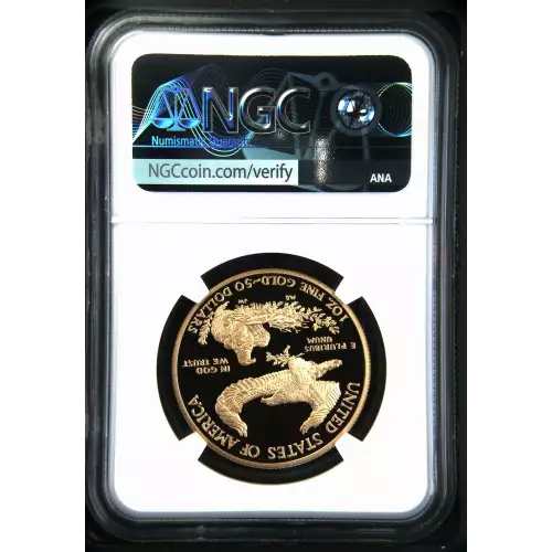 2010 W  ULTRA CAMEO (3)