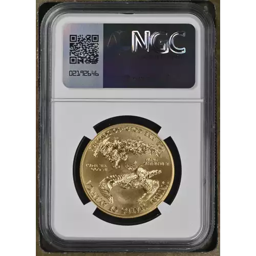 2011 W BURNISHED GOLD EAGLE (3)