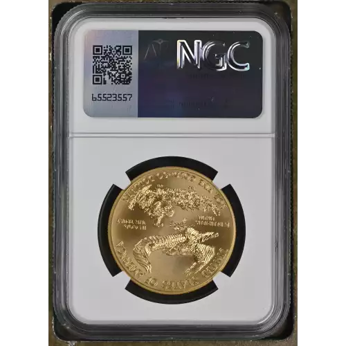 2012 W BURNISHED GOLD EAGLE (3)