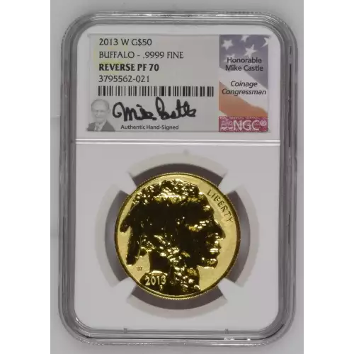 2013 BUFFALO - .9999 FINE (2)