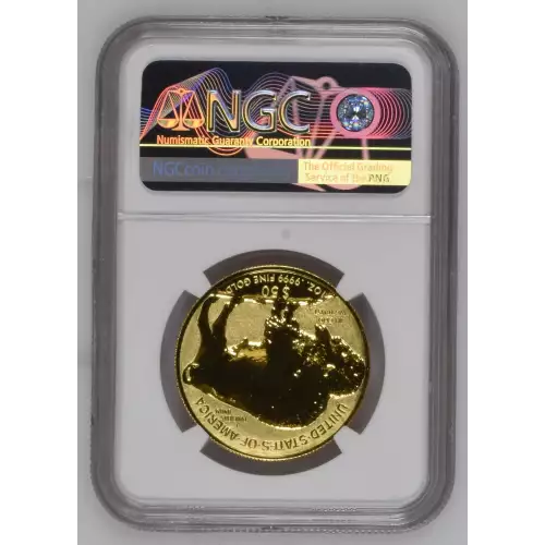 2013 BUFFALO - .9999 FINE (3)