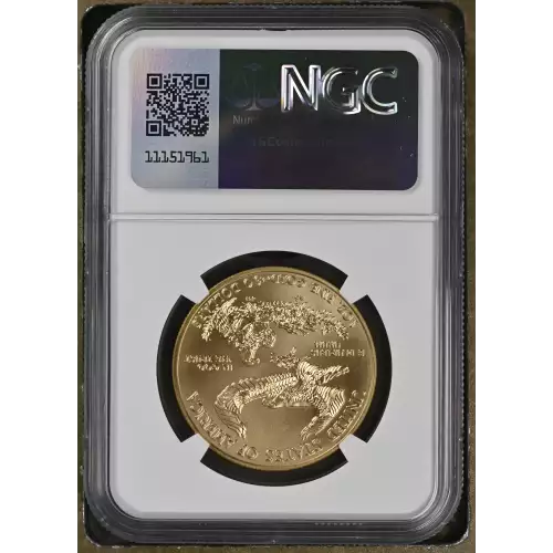 2013 W BURNISHED GOLD EAGLE (3)
