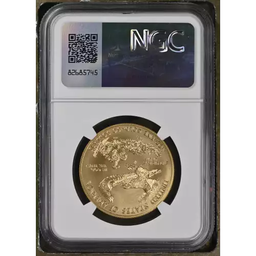 2014 W BURNISHED GOLD EAGLE (3)
