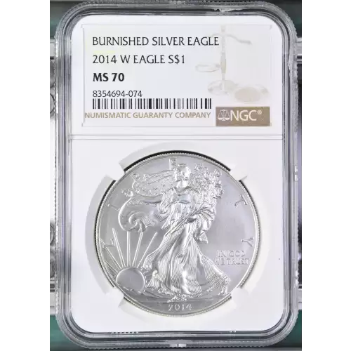 2014 W BURNISHED SILVER EAGLE (2)