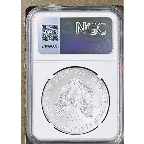 2014 W BURNISHED SILVER EAGLE (3)