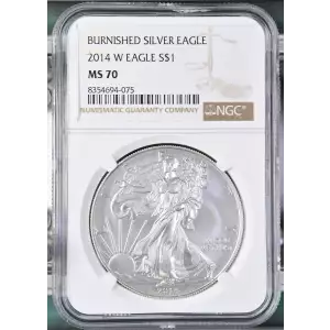 2014 W BURNISHED SILVER EAGLE (2)