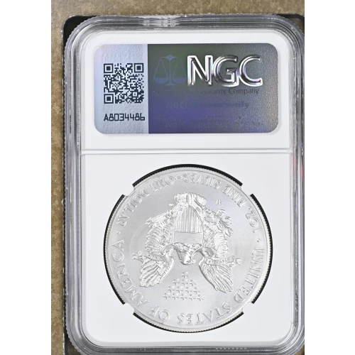 2014 W BURNISHED SILVER EAGLE (3)