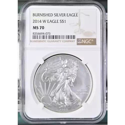 2014 W BURNISHED SILVER EAGLE (2)