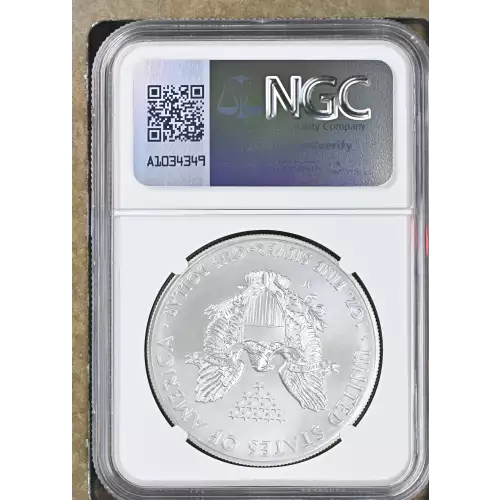 2014 W BURNISHED SILVER EAGLE (3)