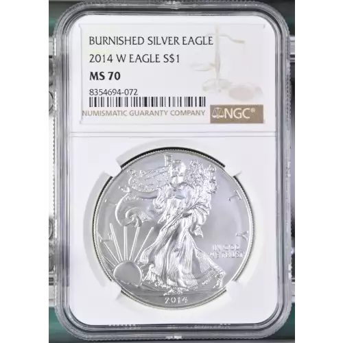 2014 W BURNISHED SILVER EAGLE (2)