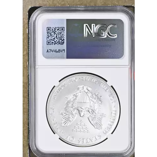 2014 W BURNISHED SILVER EAGLE (3)