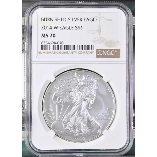 2014 W BURNISHED SILVER EAGLE (2)