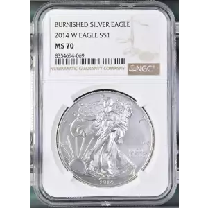 2014 W BURNISHED SILVER EAGLE (2)