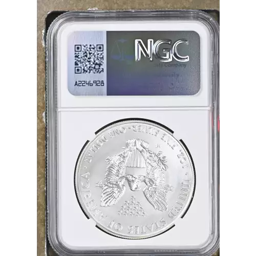 2014 W BURNISHED SILVER EAGLE (3)