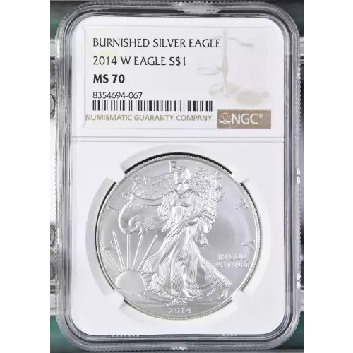 2014 W BURNISHED SILVER EAGLE (2)
