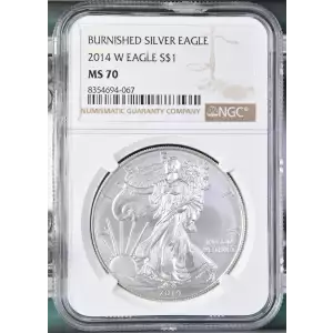 2014 W BURNISHED SILVER EAGLE (2)