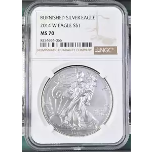 2014 W BURNISHED SILVER EAGLE (2)