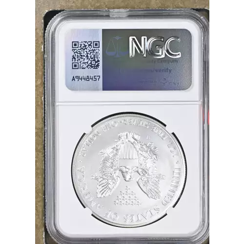2014 W BURNISHED SILVER EAGLE (3)