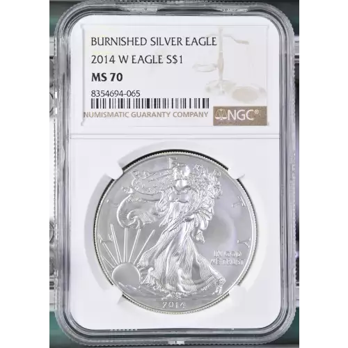 2014 W BURNISHED SILVER EAGLE (2)