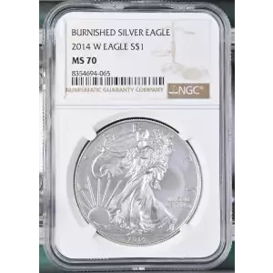 2014 W BURNISHED SILVER EAGLE (2)