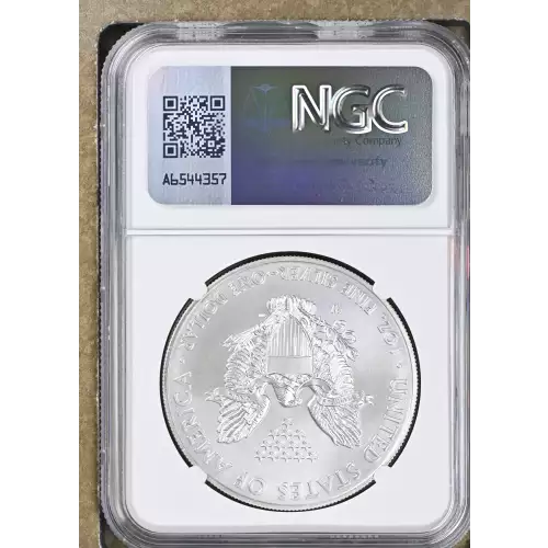 2014 W BURNISHED SILVER EAGLE (3)