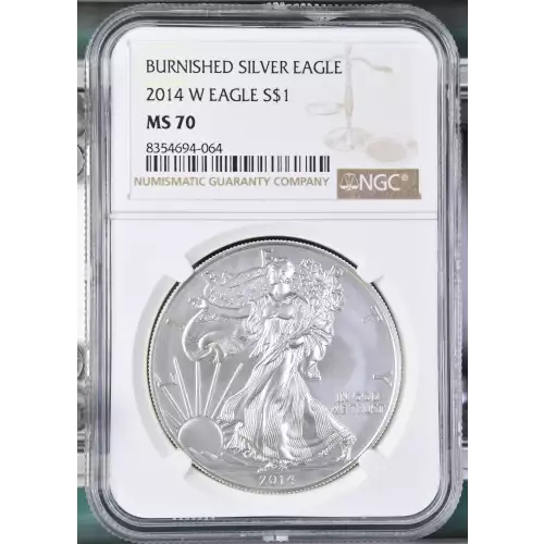 2014 W BURNISHED SILVER EAGLE (2)