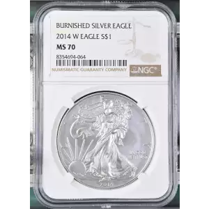 2014 W BURNISHED SILVER EAGLE (2)