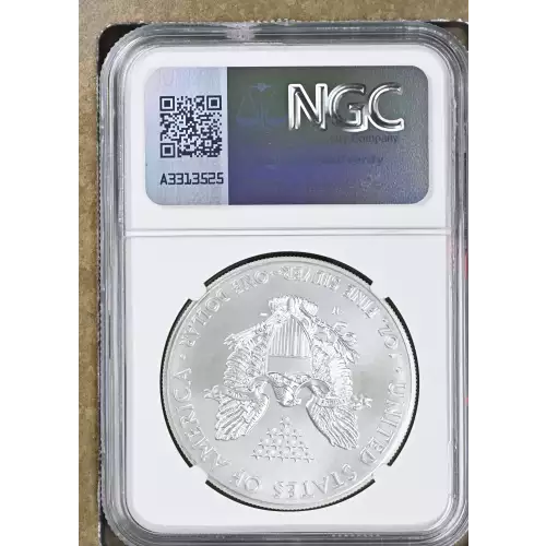 2014 W BURNISHED SILVER EAGLE (3)