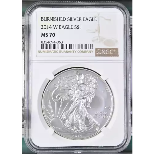 2014 W BURNISHED SILVER EAGLE (2)