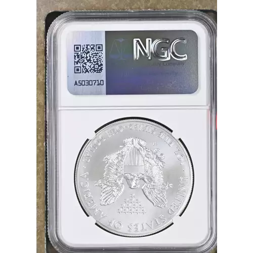 2014 W BURNISHED SILVER EAGLE (3)