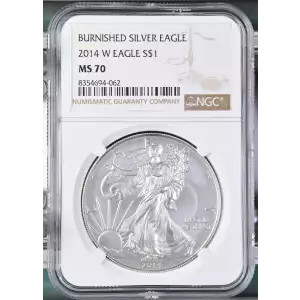 2014 W BURNISHED SILVER EAGLE (2)