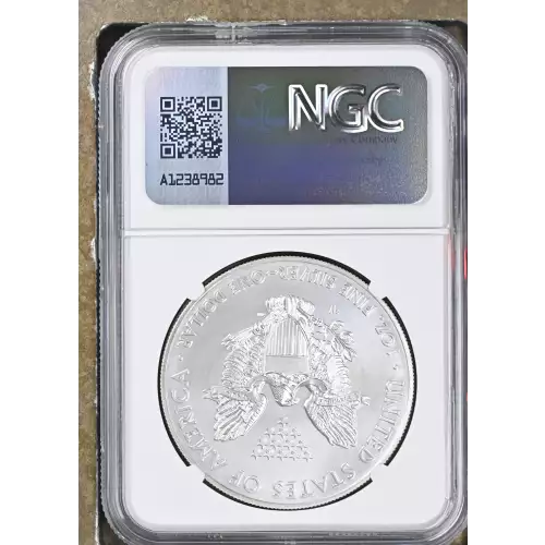 2014 W BURNISHED SILVER EAGLE (3)