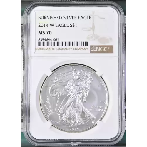 2014 W BURNISHED SILVER EAGLE (2)